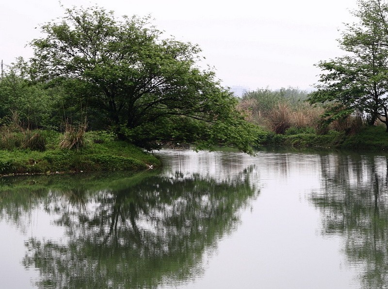 BI0E1338.jpg