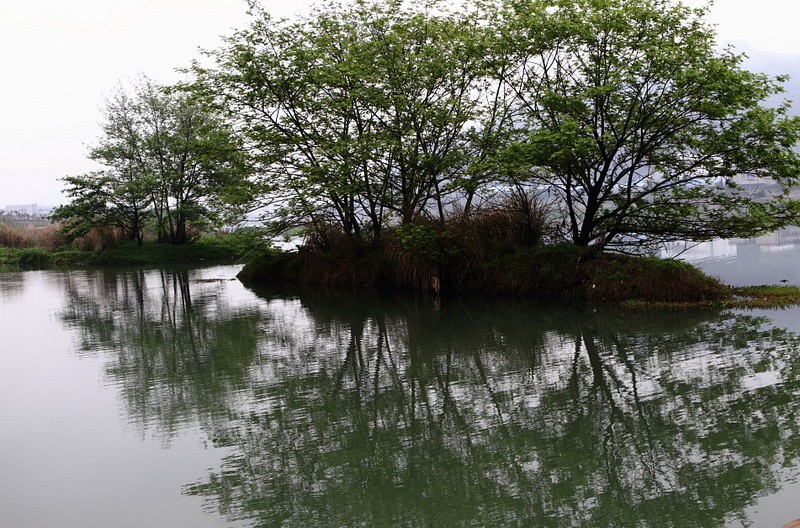BI0E1339.jpg