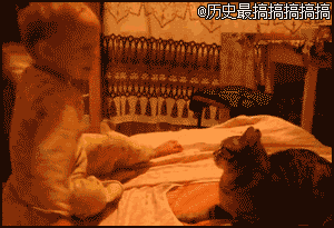 22222222.gif