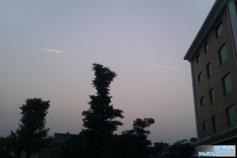 IMAG0219.jpg
