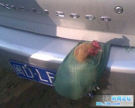 2012052509283834765.jpg