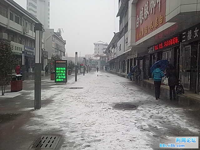 20110118115.jpg