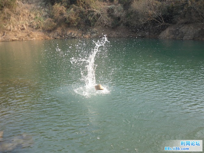 水库
