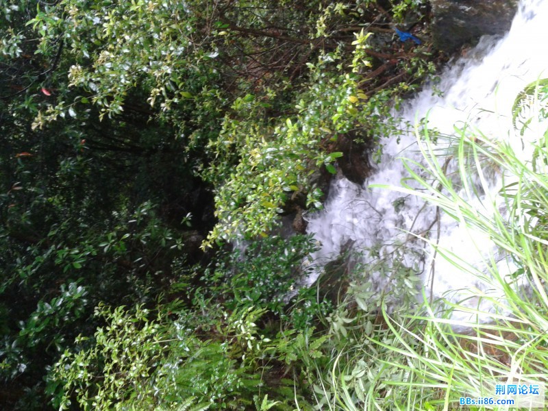 2012-06-11 13.33.21.jpg