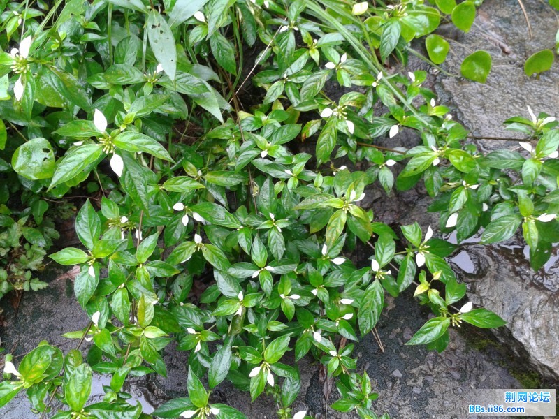 2012-06-11 13.32.44.jpg