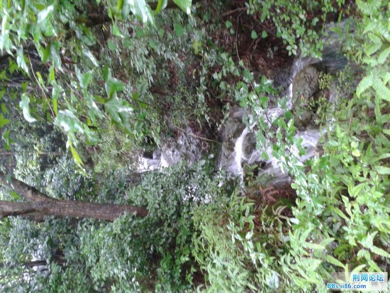 2012-06-11 13.31.04.jpg