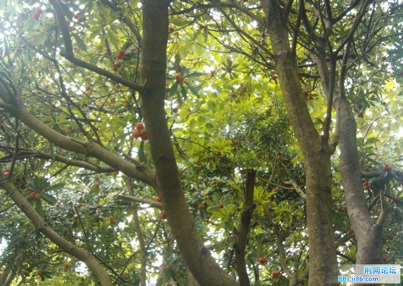QQ截图20120622104921.jpg