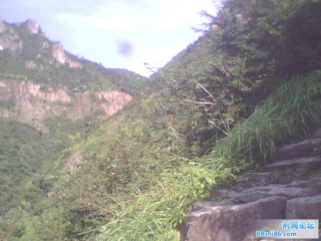 WLS01244.JPG