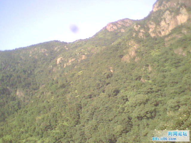 WLS01248.JPG