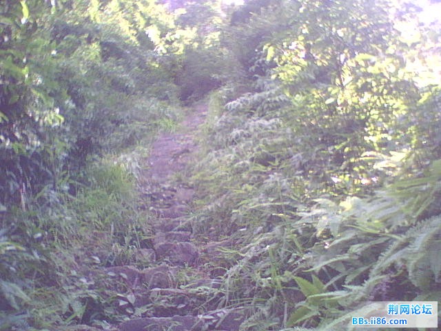 WLS01250.JPG