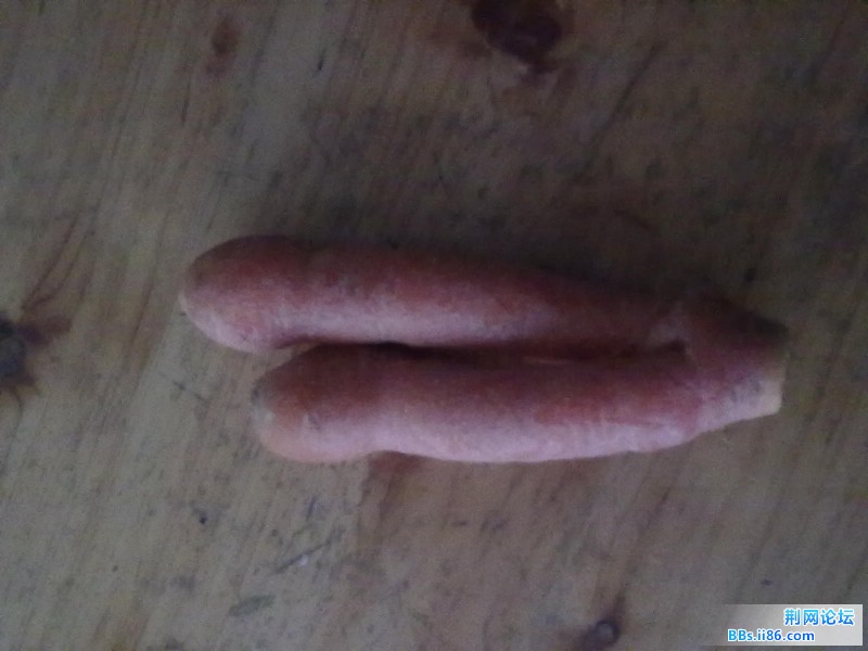20120124510.jpg