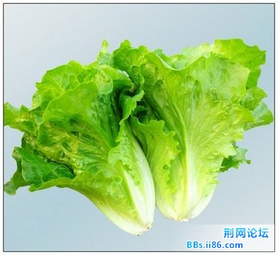 32bb9c8b8f08db9bfd1f10fb.jpg