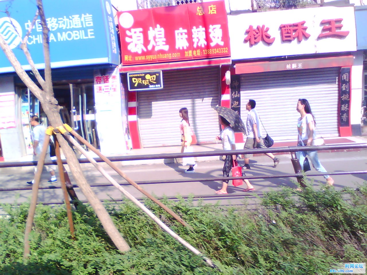IMG1218A.jpg