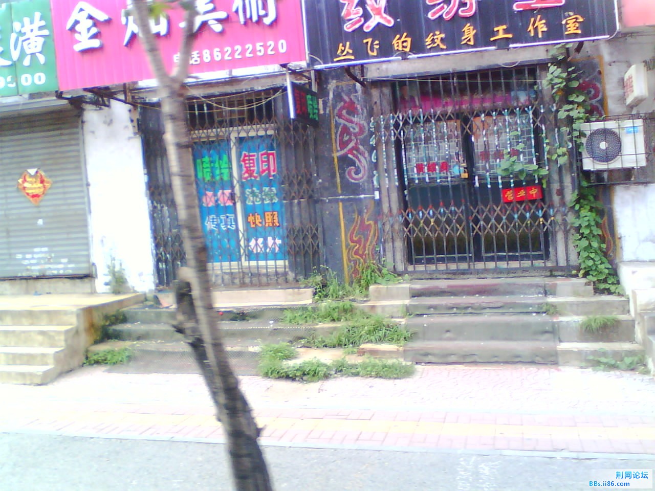 IMG1227A.jpg
