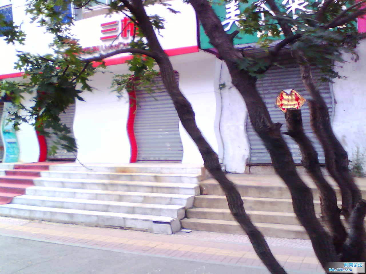 IMG1228A.jpg