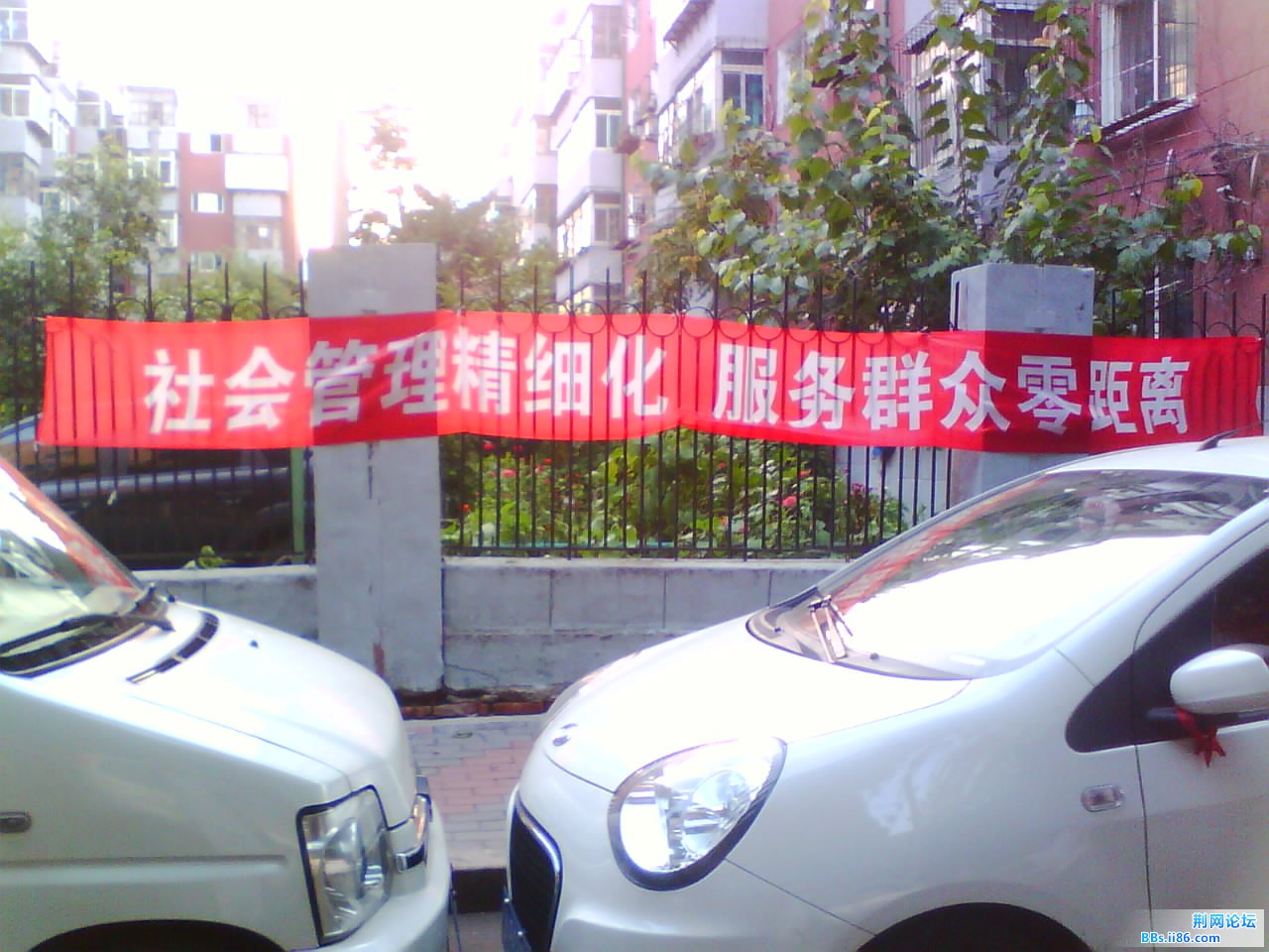 IMG1242A.jpg
