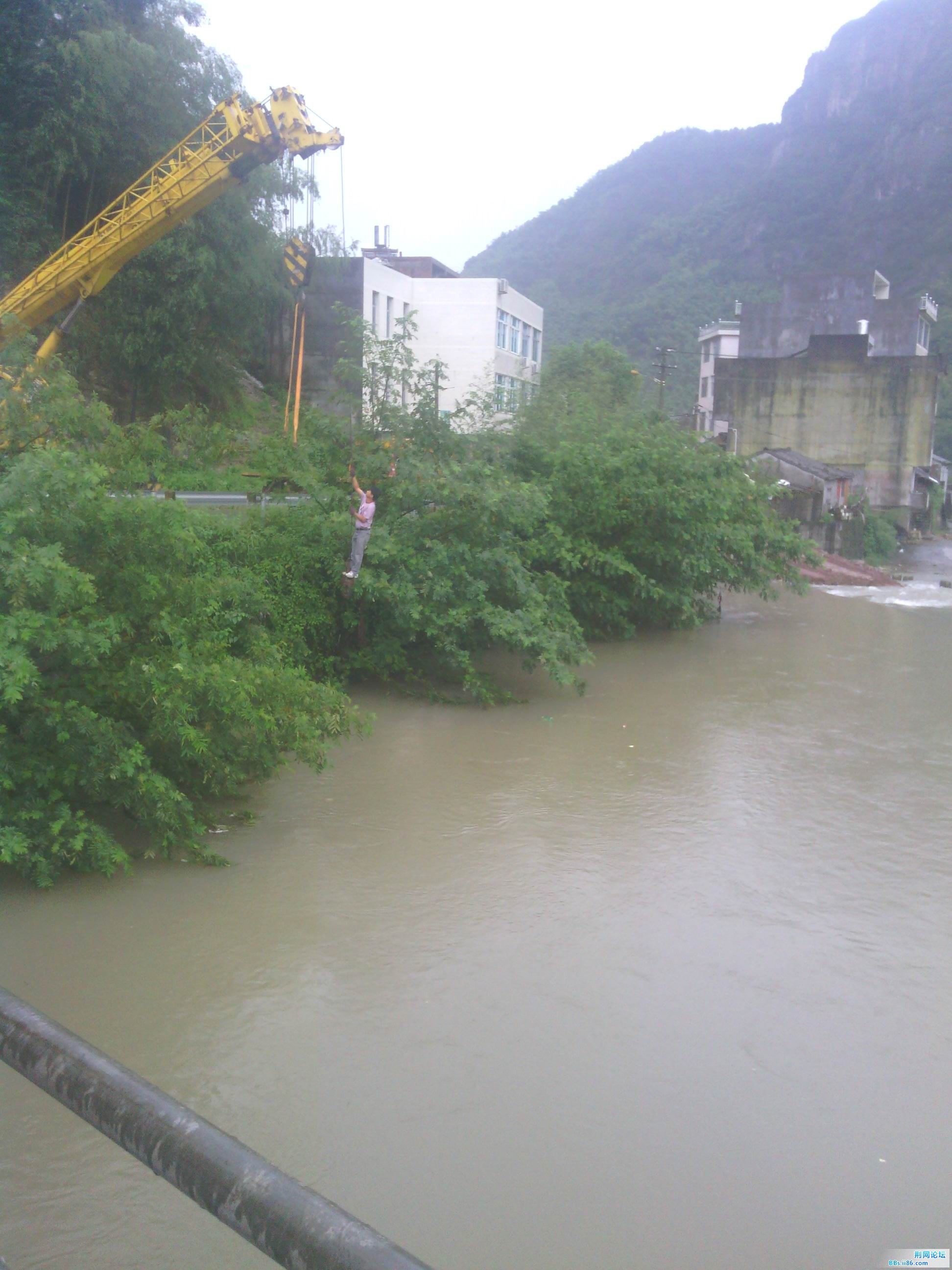 IMG_20120901_084708.jpg