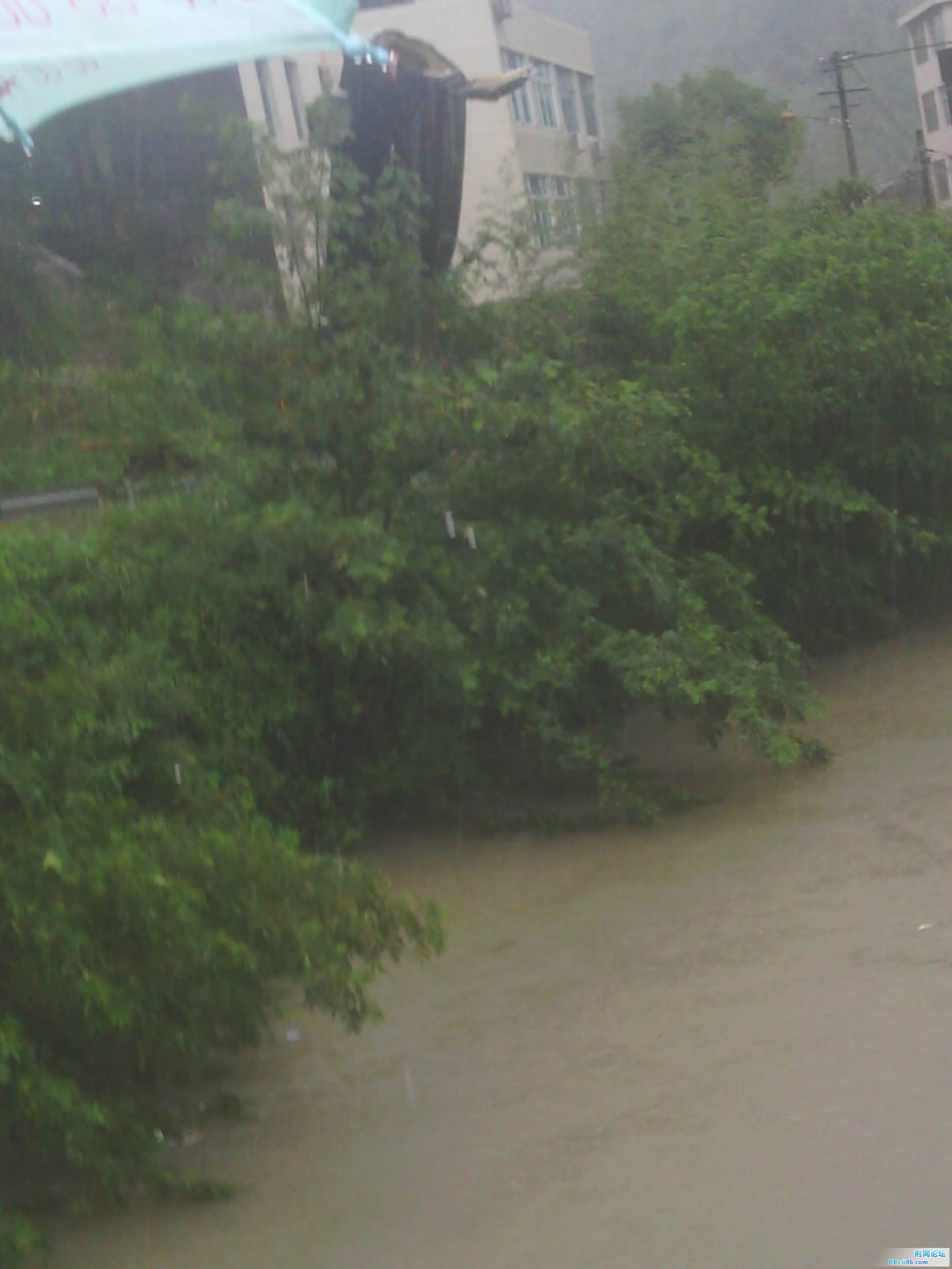 IMG_20120901_085527.jpg