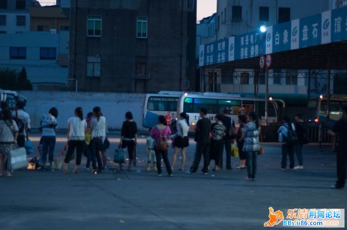101751zyfgo5iyg5l1nfzi.jpg