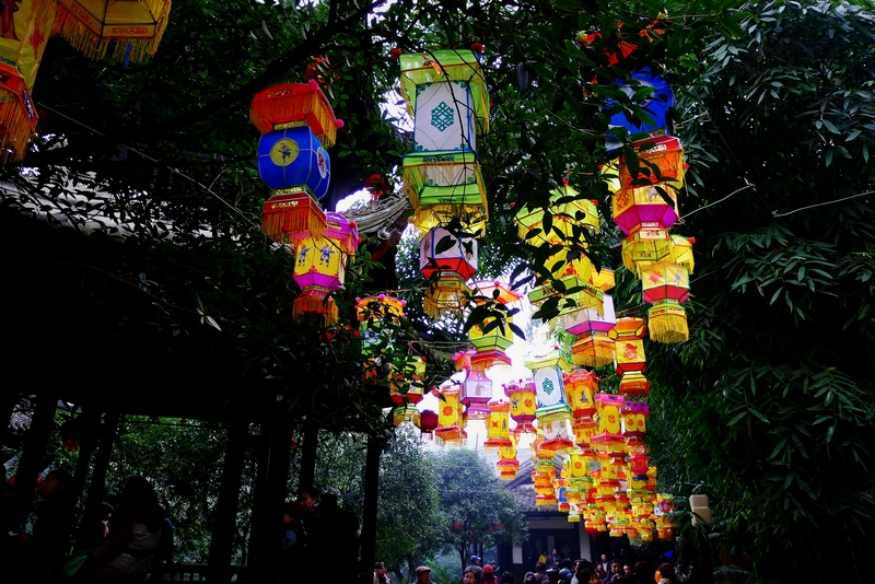 P1090897.jpg