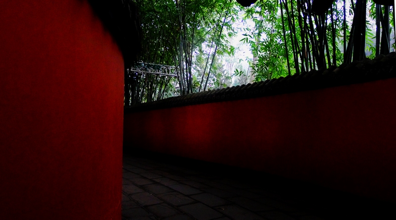 P1090899.jpg