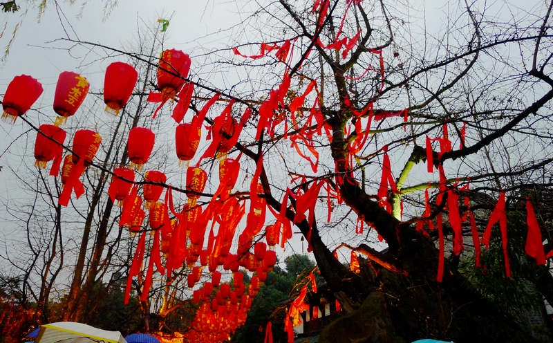 P1090984.jpg