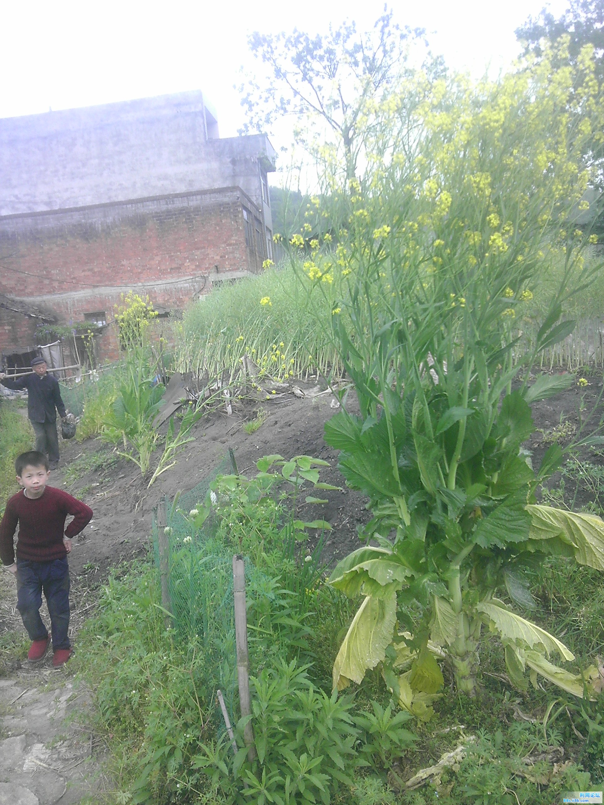 IMAG0085.jpg
