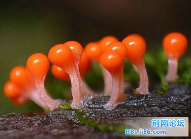 2013050301.jpg