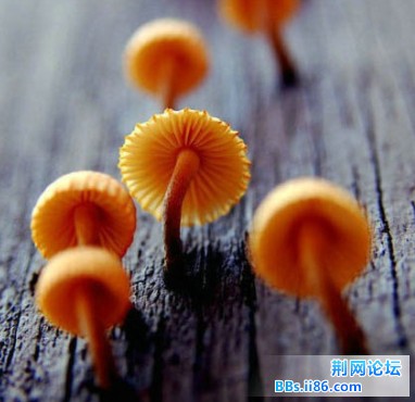 2013050302.jpg