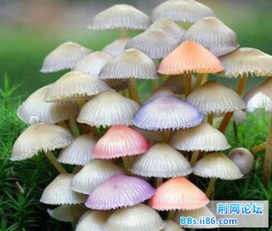 2013050303.jpg