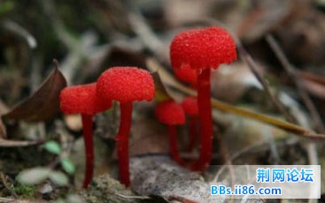 2013050304.jpg