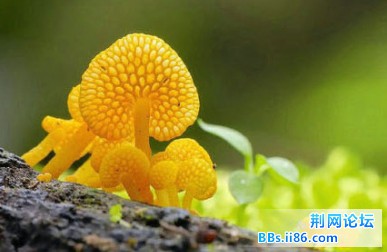 2013050305.jpg
