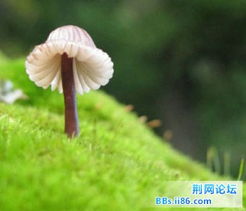 2013050306.jpg