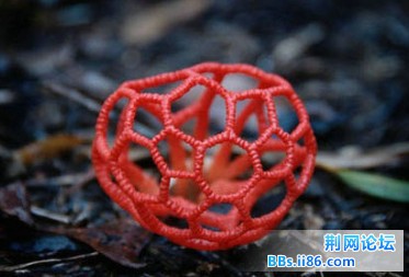 2013050307.jpg