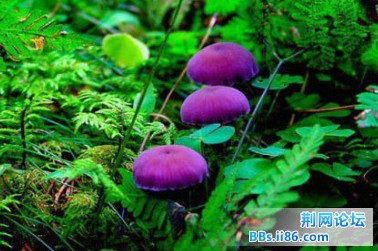 2013050308.jpg