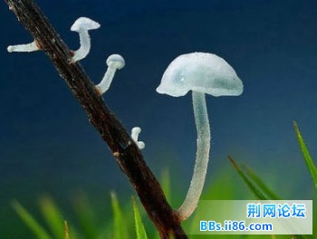 2013050309.jpg