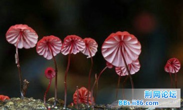 2013050313.jpg