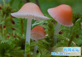 2013050314.jpg