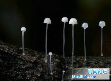 2013050315.jpg