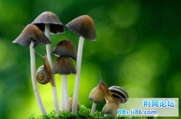 2013050316.jpg