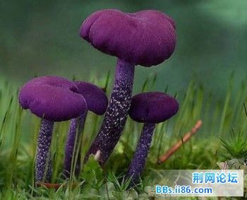 2013050317.jpg