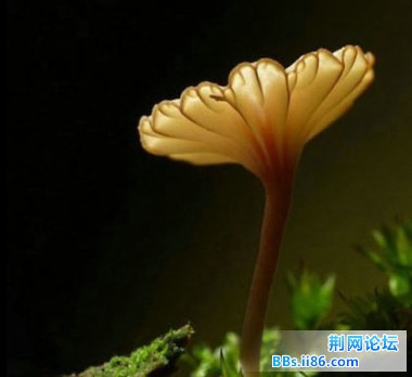 2013050320.jpg