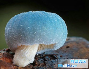 2013050321.jpg