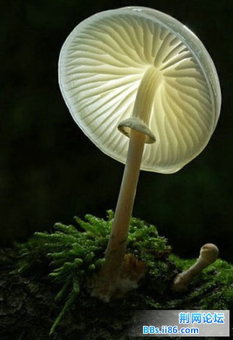 2013050322.jpg