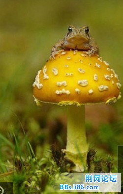 2013050325.jpg