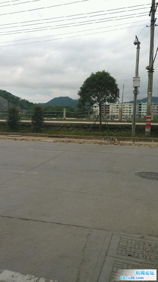 IMG_20130523_175100.jpg