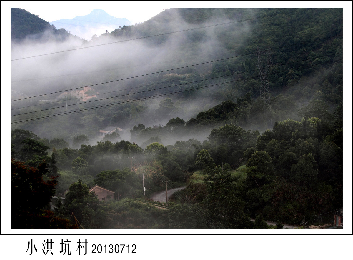 小洪坑BI0E5743.JPG