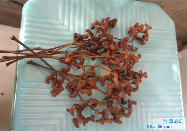 20131107132057.jpg