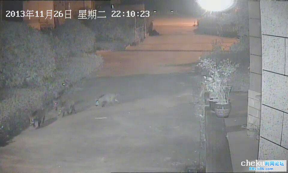 QQ图片20131202203430.jpg