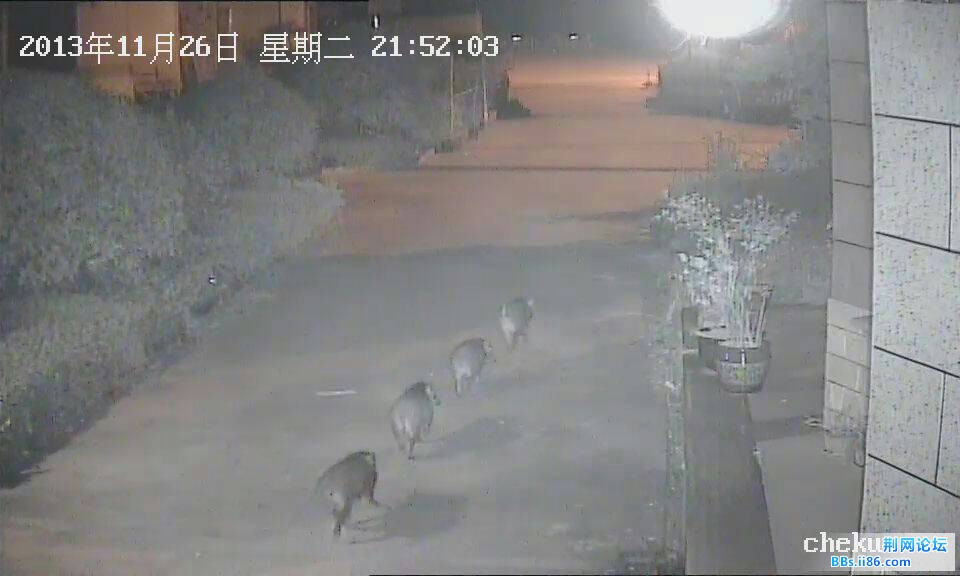 QQ图片20131202203441.jpg